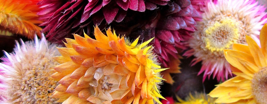 Seasonal wedding flower advice from a experienced florist